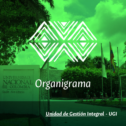 Organigrama