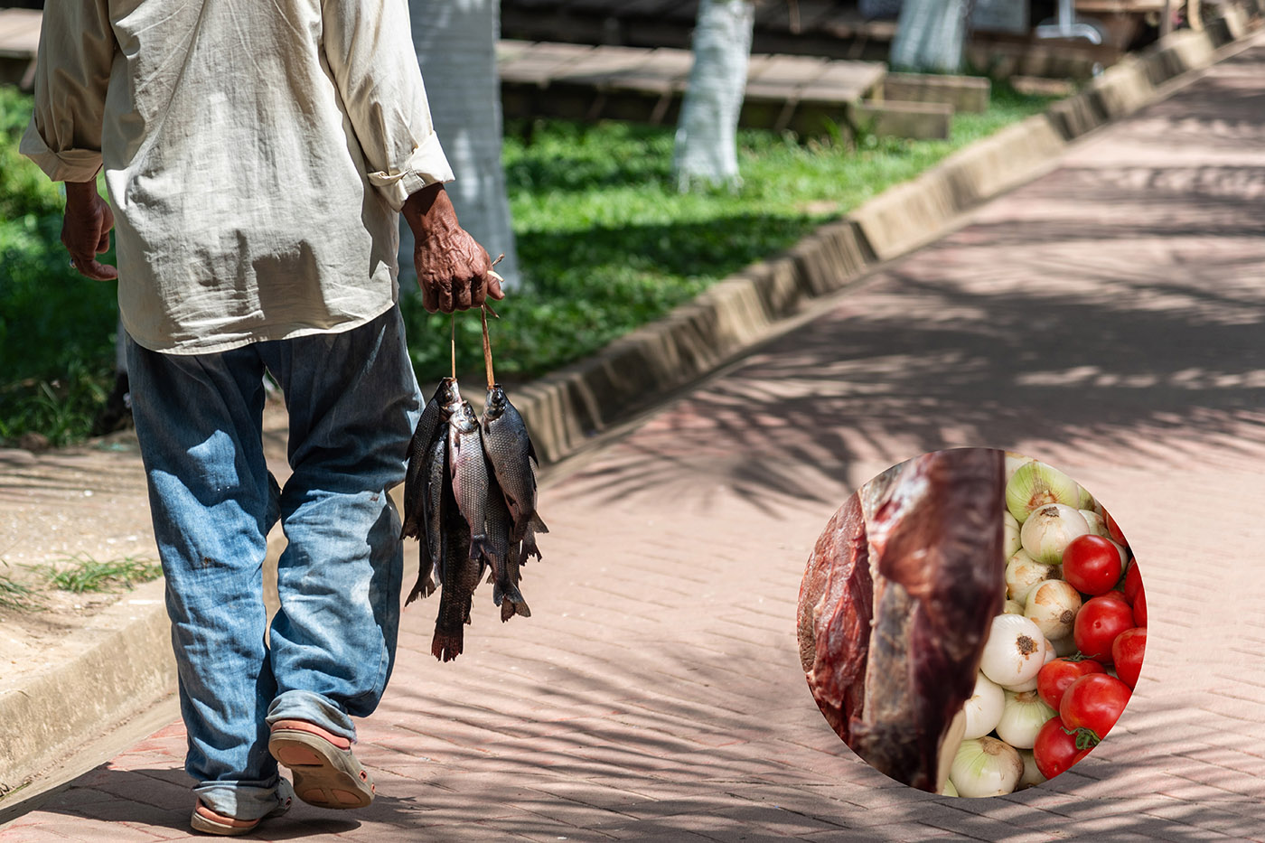 Importación de alimentos en Leticia pone en riesgo su seguridad alimentaria